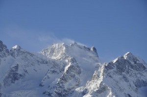 _DSC4195